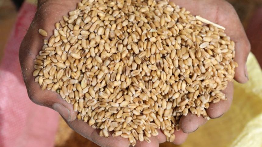 India bans wheat export, will be sensitive to Bangladesh's needs