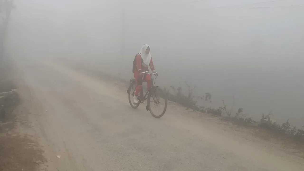 মাঘের শেষেও কুয়াশায় ঢাকা পঞ্চগড়