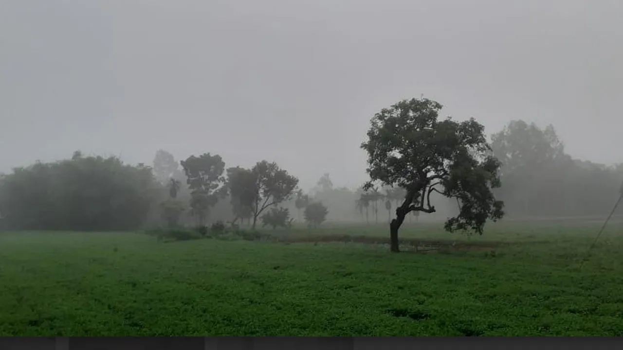 উত্তরে বাড়ছে শীতের তীব্রতা, তাপমাত্রা নামল ১৫.৬ ডিগ্রিতে