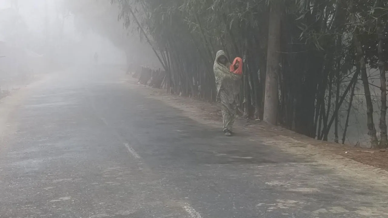 ঘন কুয়াশায় ঢাকা কুড়িগ্রাম, তাপমাত্রা ১৫.৬ ডিগ্রি