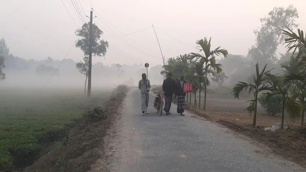 তাপমাত্রা বাড়লেও কনকনে শীতের দাপট