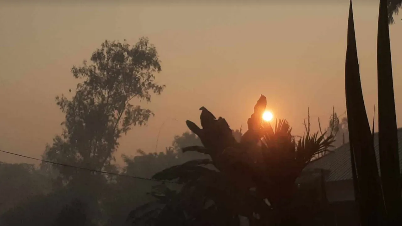 বাড়বে রাত ও দিনের তাপমাত্রা