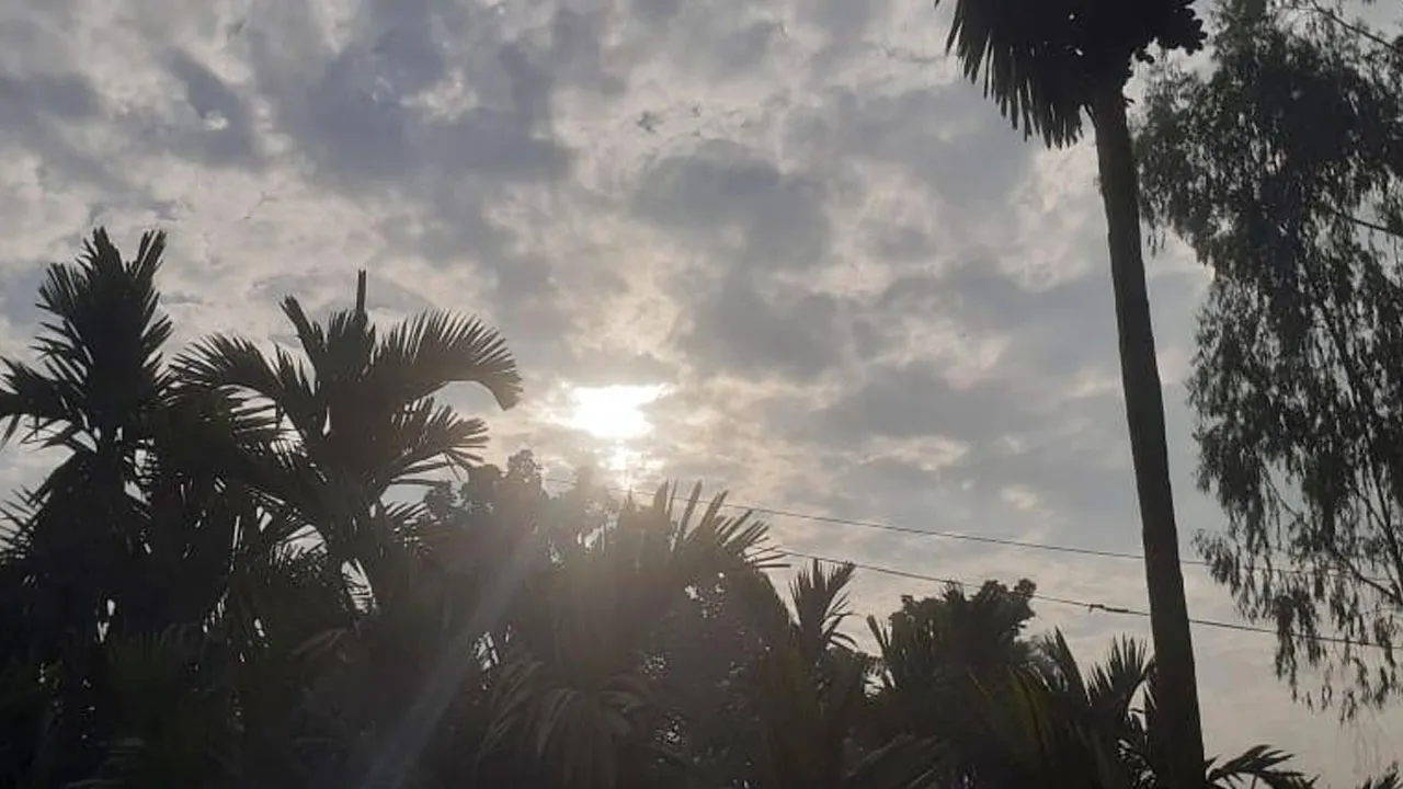 রাত ও দিনের তাপমাত্রা বাড়তে পারে