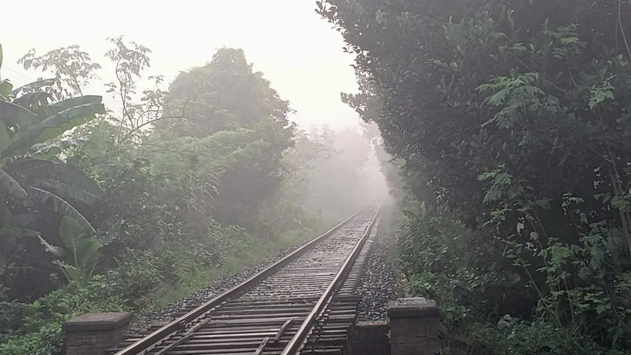 শীতের বার্তা, রাজশাহীতে সর্বনিম্ন তাপমাত্রা ২২.২ ডিগ্রি