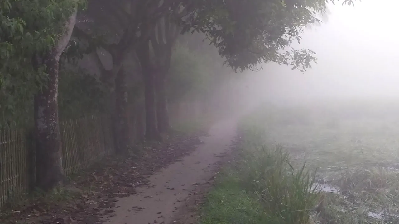 পঞ্চগড়ে শীতের আগমনী হাওয়া, তাপমাত্রা নামল ১৪ ডিগ্রিতে