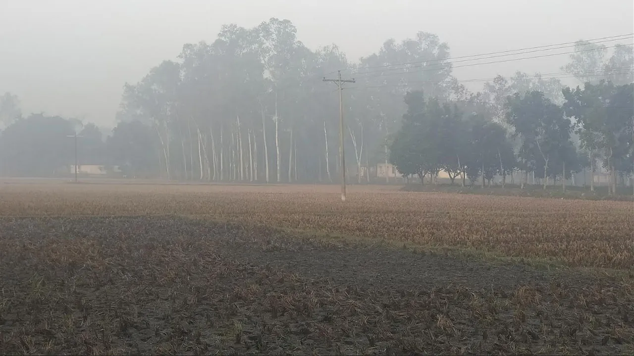 পঞ্চগড়ে টানা পাঁচ দিন তাপমাত্রা ১৩ ডিগ্রি ঘরে