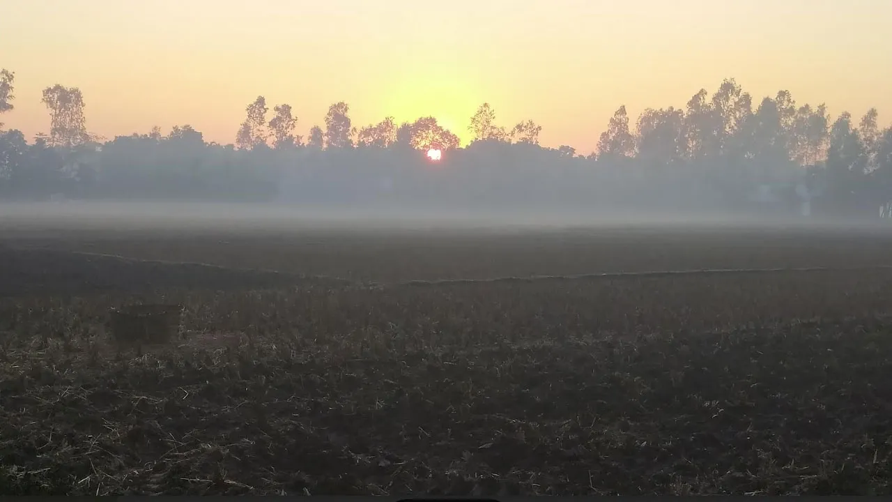 তেঁতুলিয়ায় এক সপ্তাহ ধরে বইছে মৃদু শৈত্যপ্রবাহ