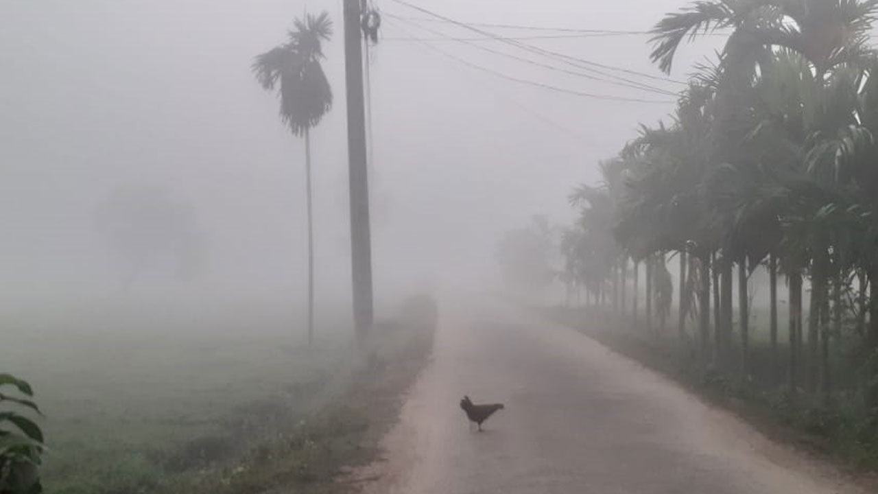At the end of Hemant, winter is settling in the northern towns