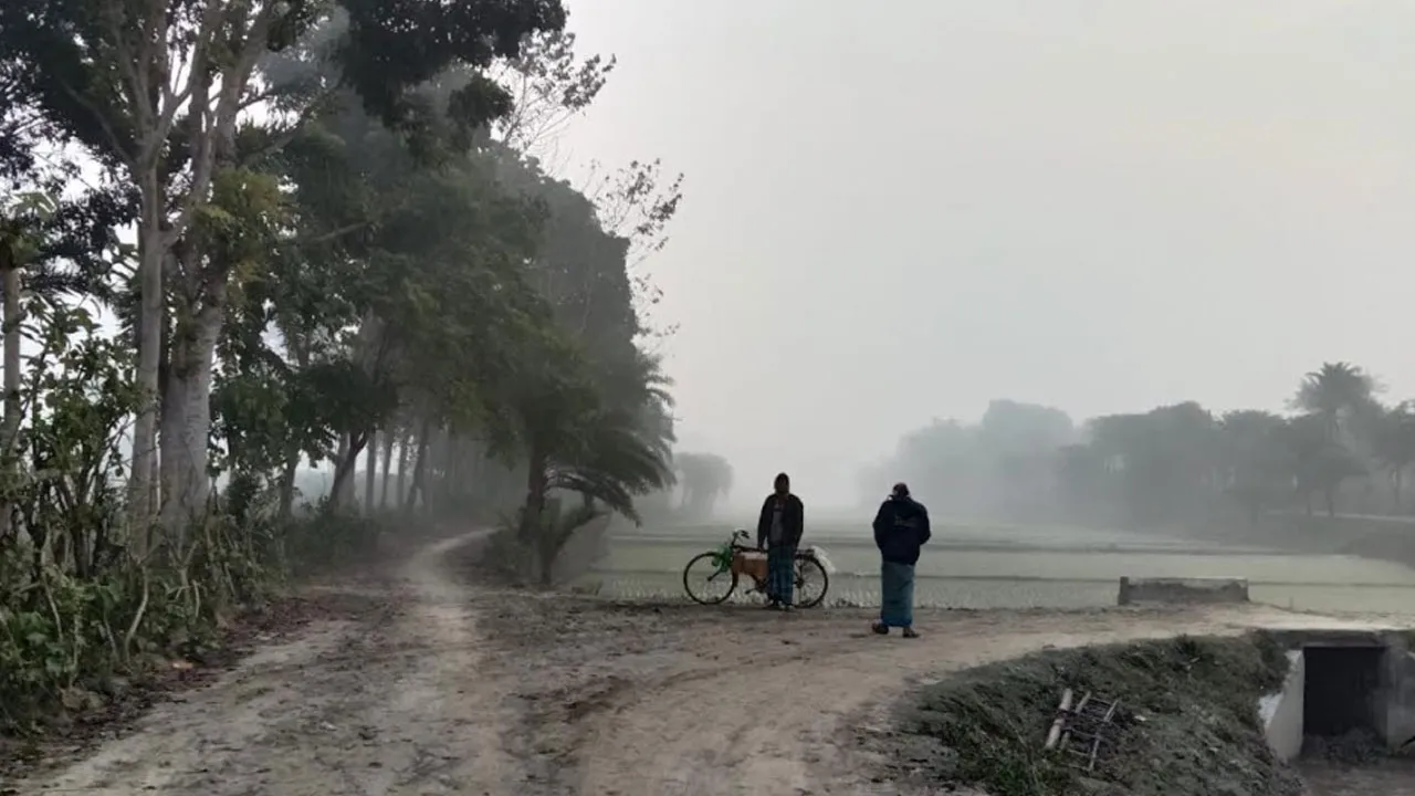 শীতে কাঁপছে চুয়াডাঙ্গা, তাপমাত্রা ১৪