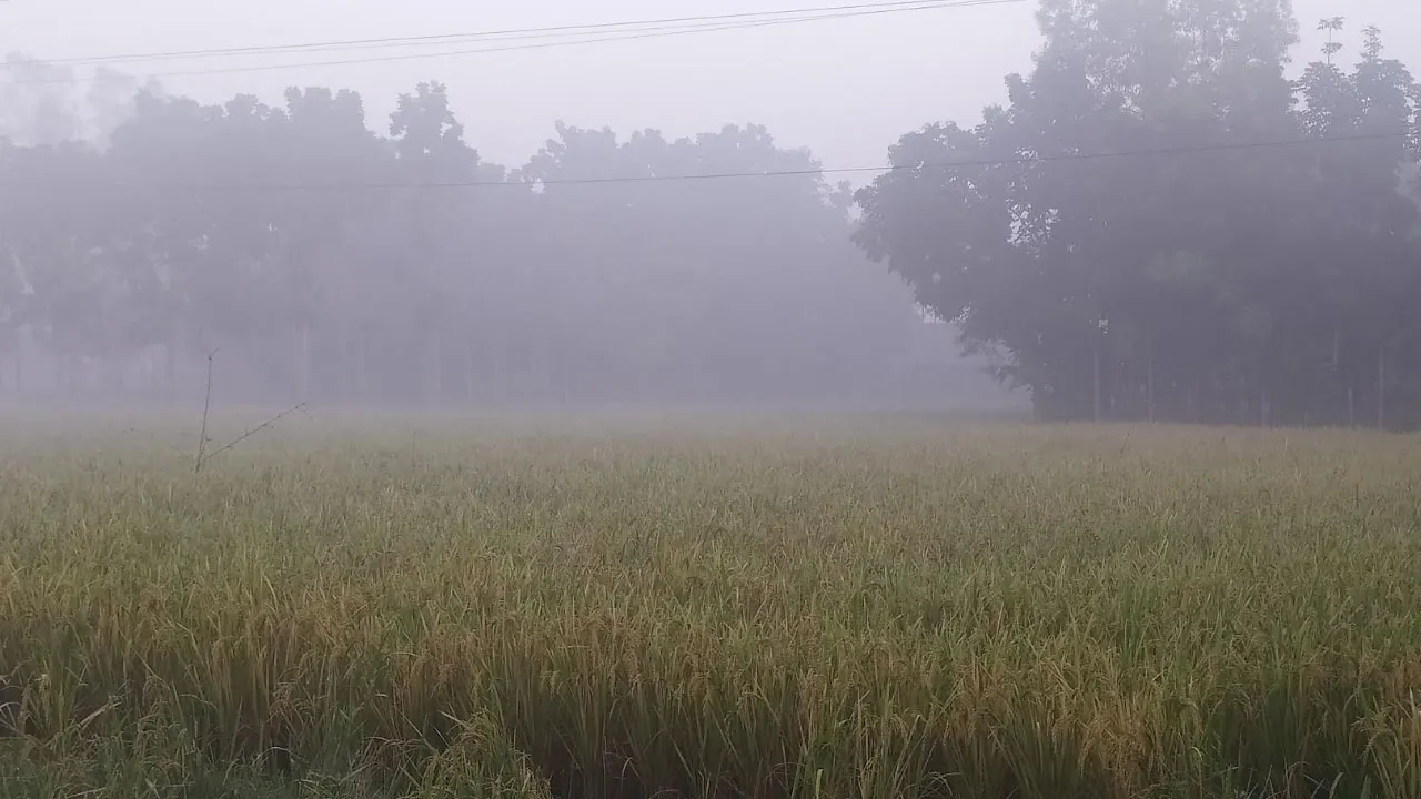 পঞ্চগড়ের তাপমাত্রা নামল ১২ ডিগ্রিতে