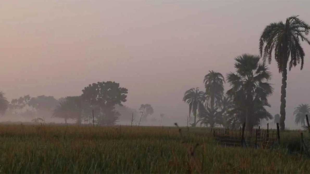বাড়বে শীত , ২ ডিগ্রি কমতে পারে তাপমাত্রা