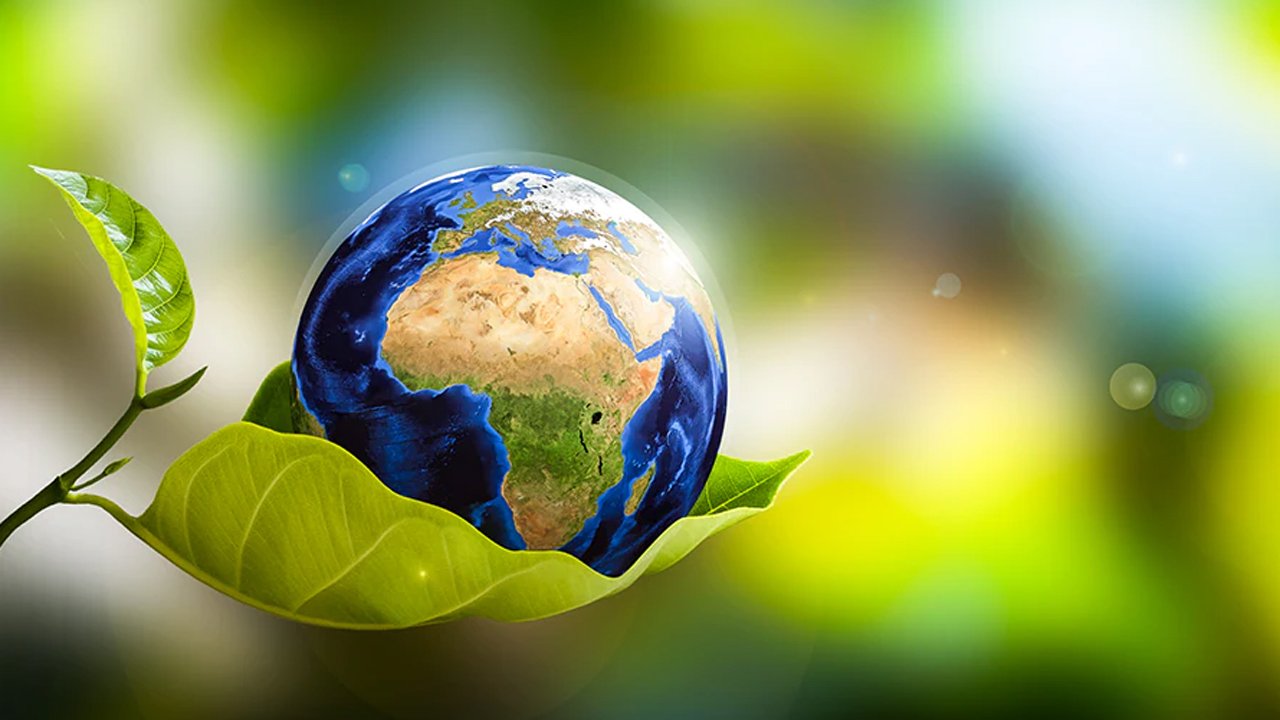 world-doritri-20250422030056
