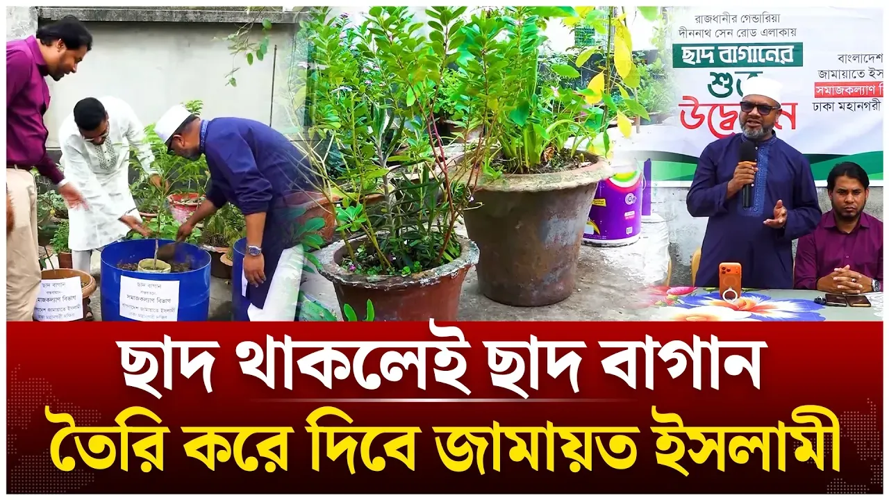 ‘ছাদ থাকলেই ছাদ বাগান তৈরি করে দিবে জামায়ত ইসলামী’ | Jamaat Islami | Roof garden | Time News Live