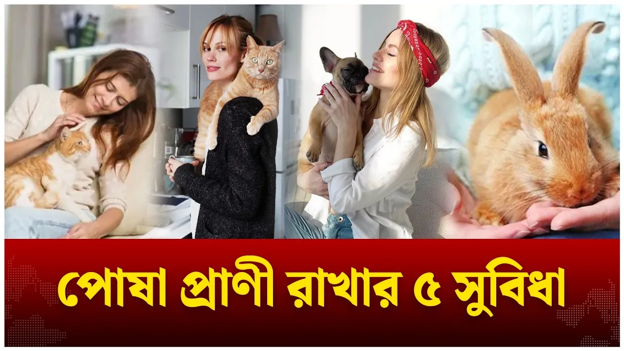 বাসাবাড়িতে প্রাণী পুষে কী লাভ ? | Pets | House pets | Time News
