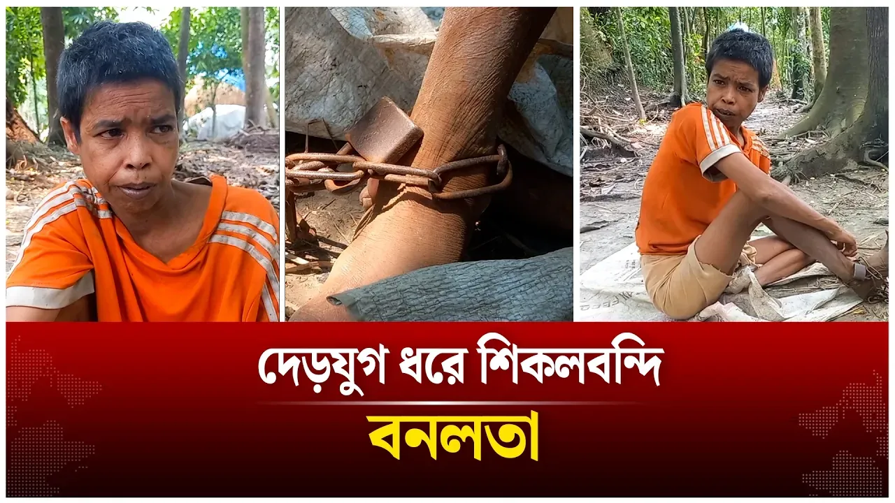 দেড়যুগ ধরে গাছের সঙ্গে শিকলবন্দি মেধাবী বনলতা | Bonolota | Time News Live