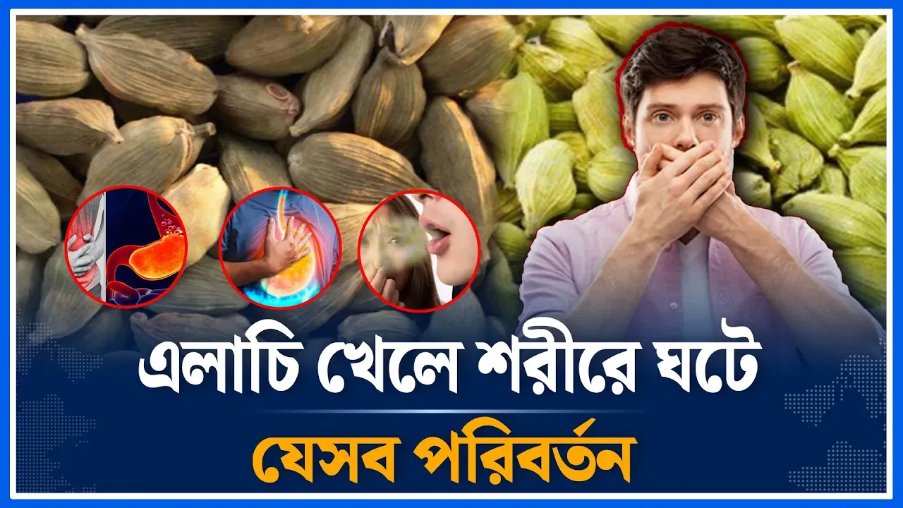 এলাচি খেলে শরীরে ঘটে যেসব পরিবর্তন | Cardamom | Health | Good | Time News