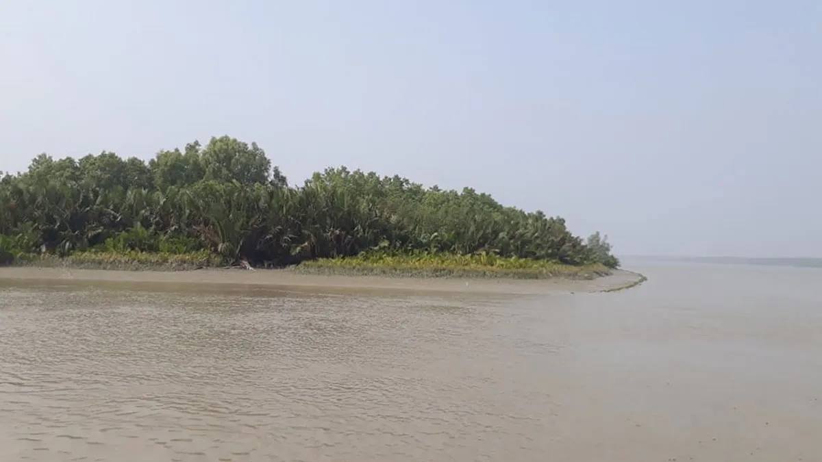 মোখার প্রভাবে সুন্দরবনের নদ-নদীতে পানি বেড়েছে ৩ ফুট